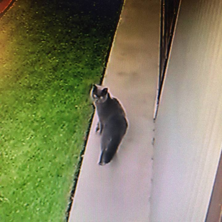 296ffce6 5fdb 406a 9462 df2e52785029 1578476698215