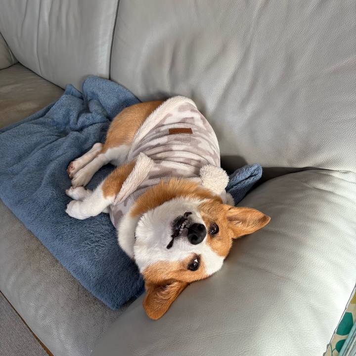 297012f4 b070 42e0 beb4 2f8beeceb660 1768199502913