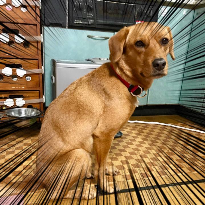 29701435 eabf 44e3 b4c7 4e08a922f796 1515467619633