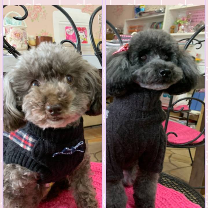 2970239d 8c65 419a bb56 4df91a3ee27f 1579424318843