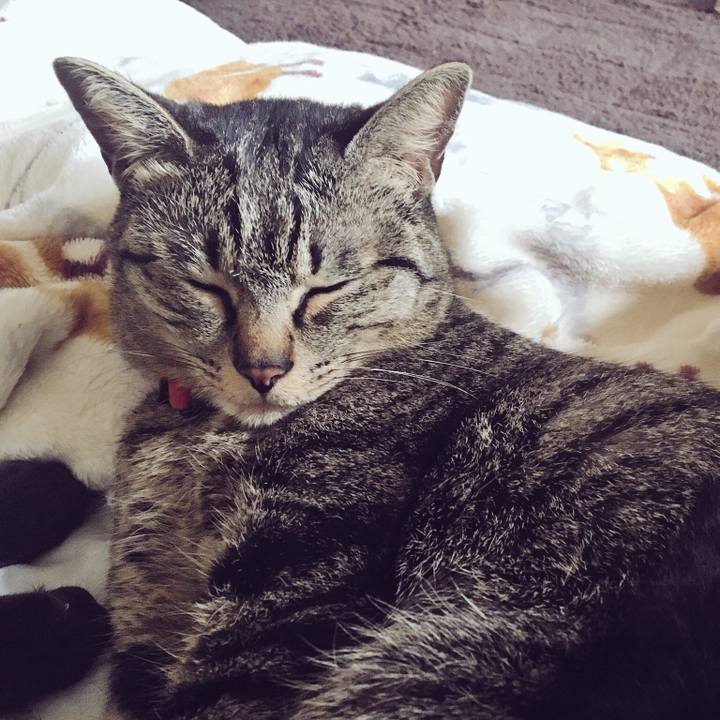 29703637 1105 4c92 b3cd c1b3963d87bb 1521717251275