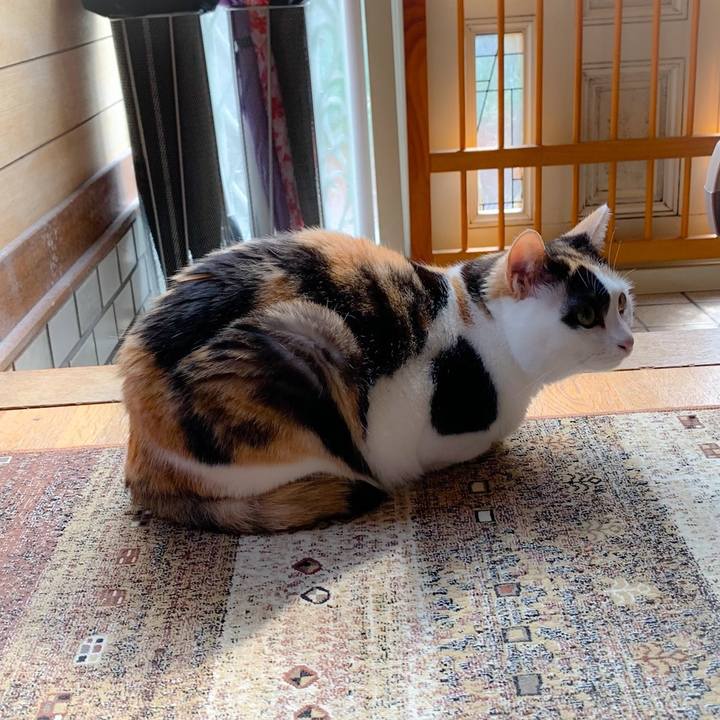 29704c21 2ef5 4343 97c2 457505a4fb5f 1560307574933