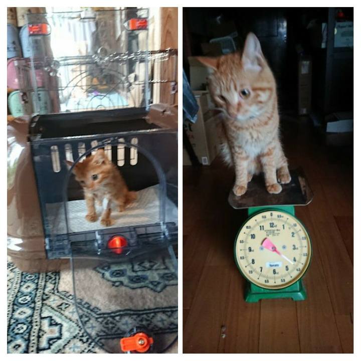 29705445 e42f 4199 9556 f8066025bd57 1659211679833