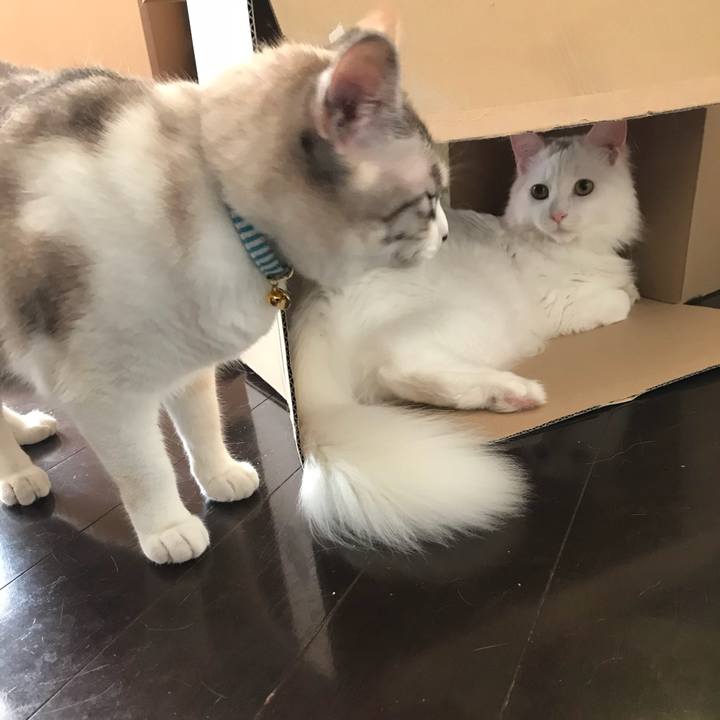 29705919 da08 49a8 b157 d471627d2e5e 1528344469036