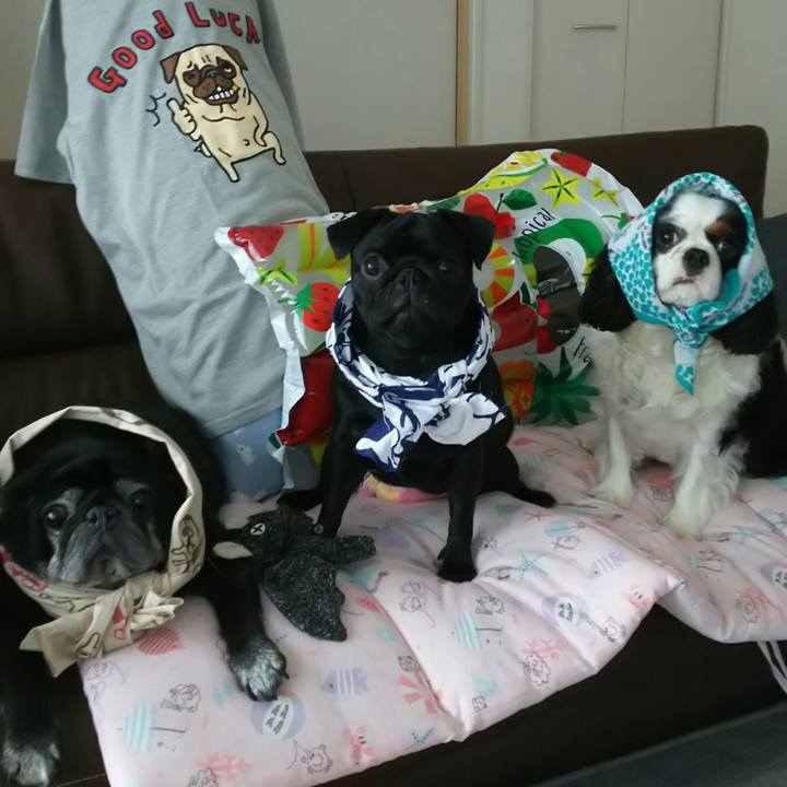 2970a9b1 eee2 4064 9830 728876f426a2 1533797438796