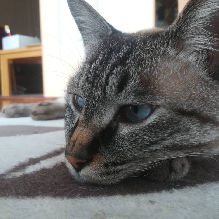 2970cb4c 3069 448d 8003 229f81db876f 1527993423514