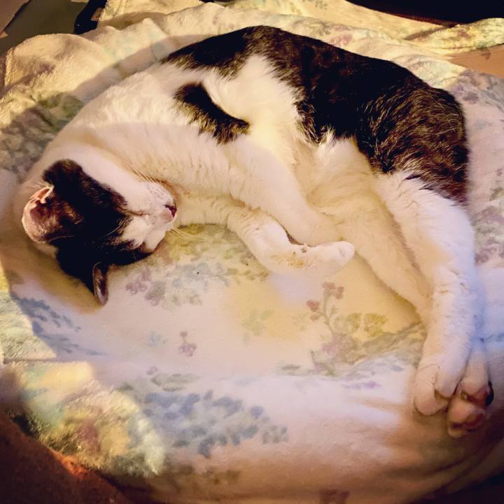 2970d748 df64 4e00 874f 419c37d3e41a 1619358426530