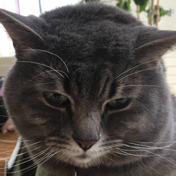 29710f1f 9504 4220 86e2 9c1409ae388c 1526080143697