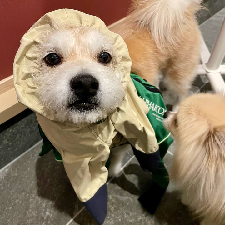 297137f8 c950 4fb2 8722 53f0de5b88ac 1773226373081