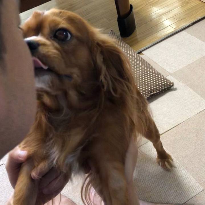 29714303 cfc7 463f a4c5 ab7eb622ef50 1565043808943