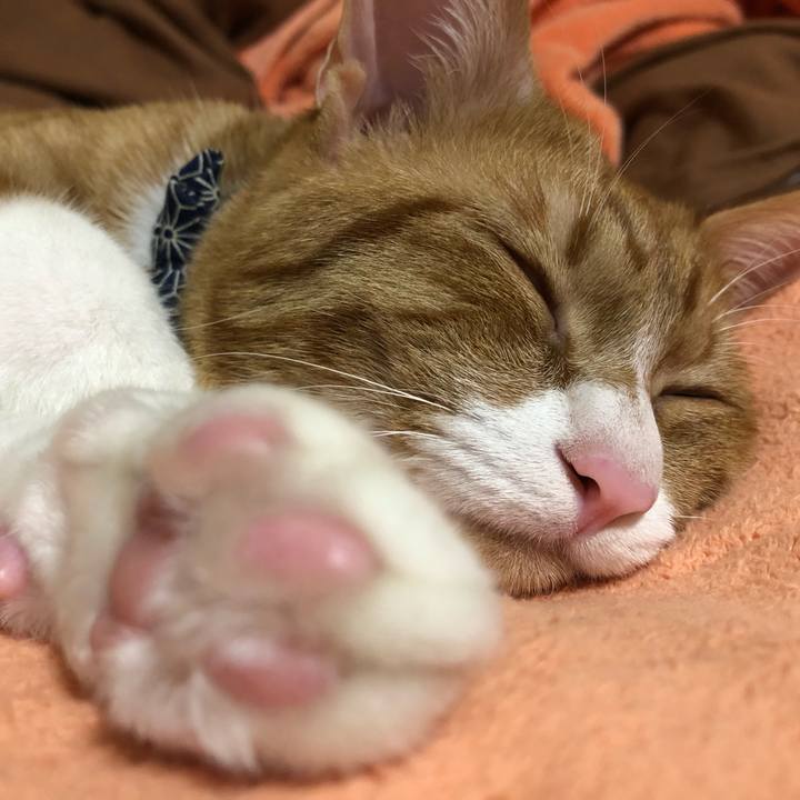 29717e71 cee7 4ed5 98a9 8ff94edc071f 1557918093251