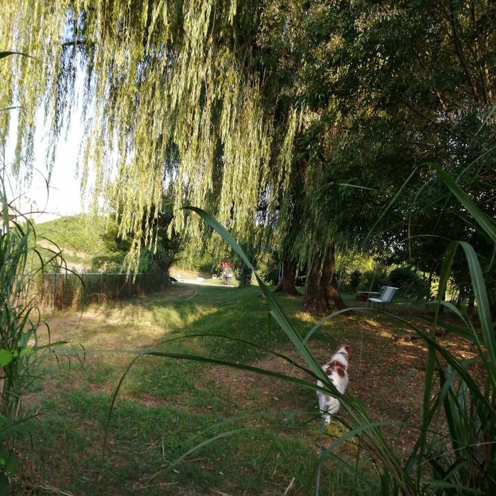 2971cb11 0fc4 4dcb 85ce f1ee247558d6 1597708691354