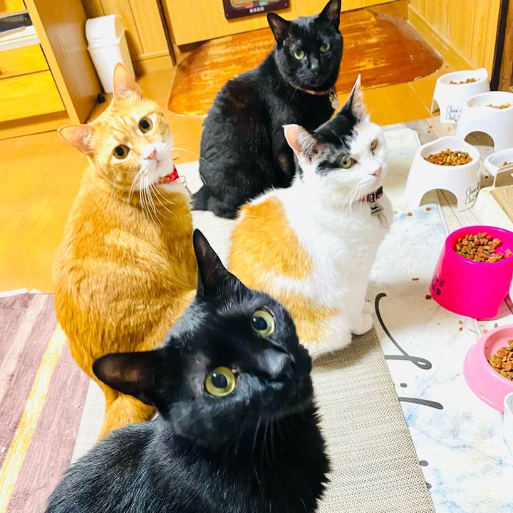 297202ba c10e 4579 b42c 75e307d5f673 1750632987213