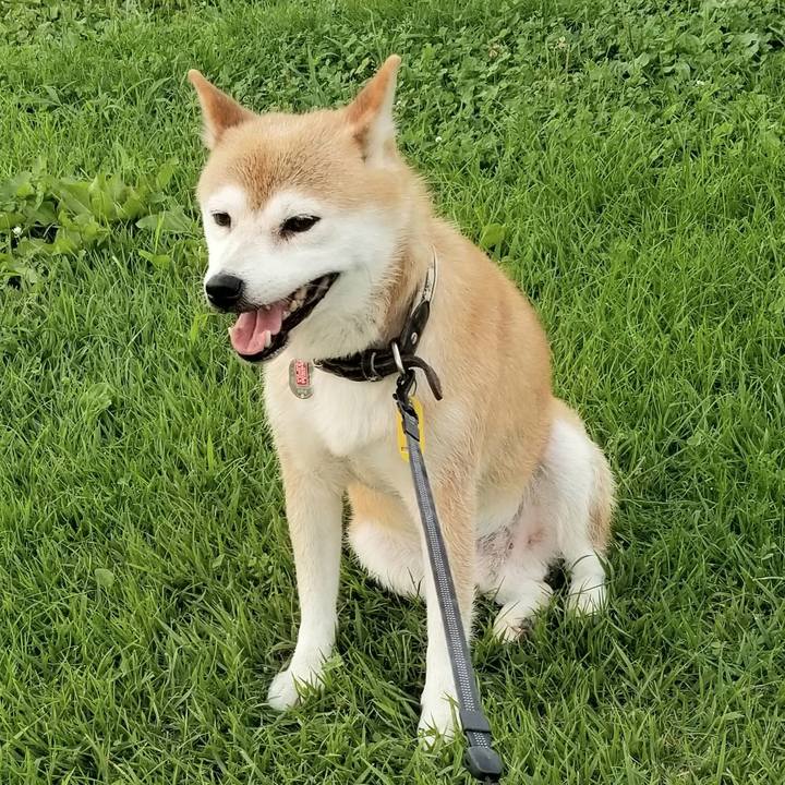 2972122f 9a93 4e23 99e8 9ff81fc83519 1596532126259