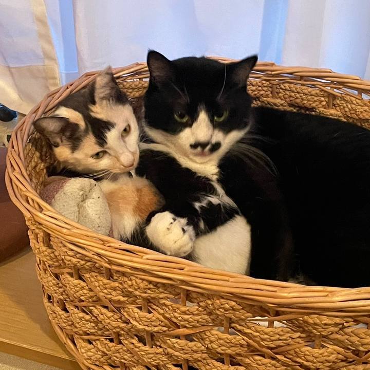 297294bd d6ad 4b38 9a65 5b518624fc11 1730896973355