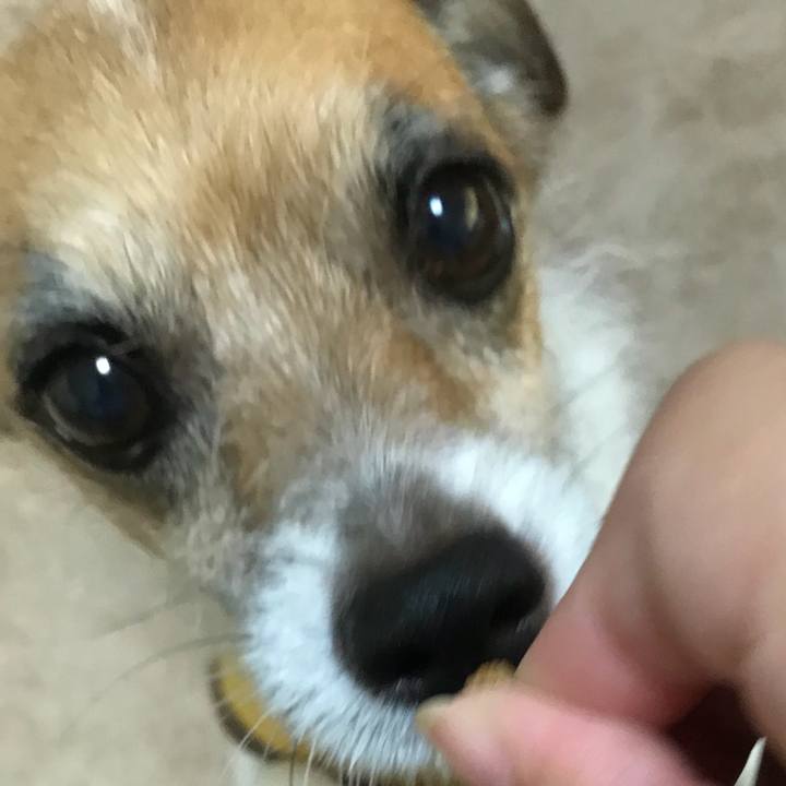 2972b88d a65a 44a2 9573 8be7afbeda8f 1532856054550