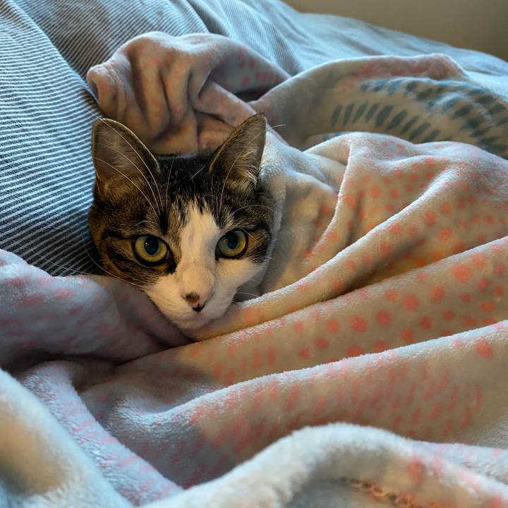 2972c980 49ac 43b3 a6a4 fd3c26083c47 1606692208059