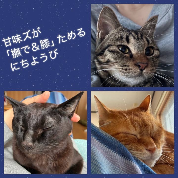 2972e723 517f 462c a80f ca3be84c2725 1743909867815