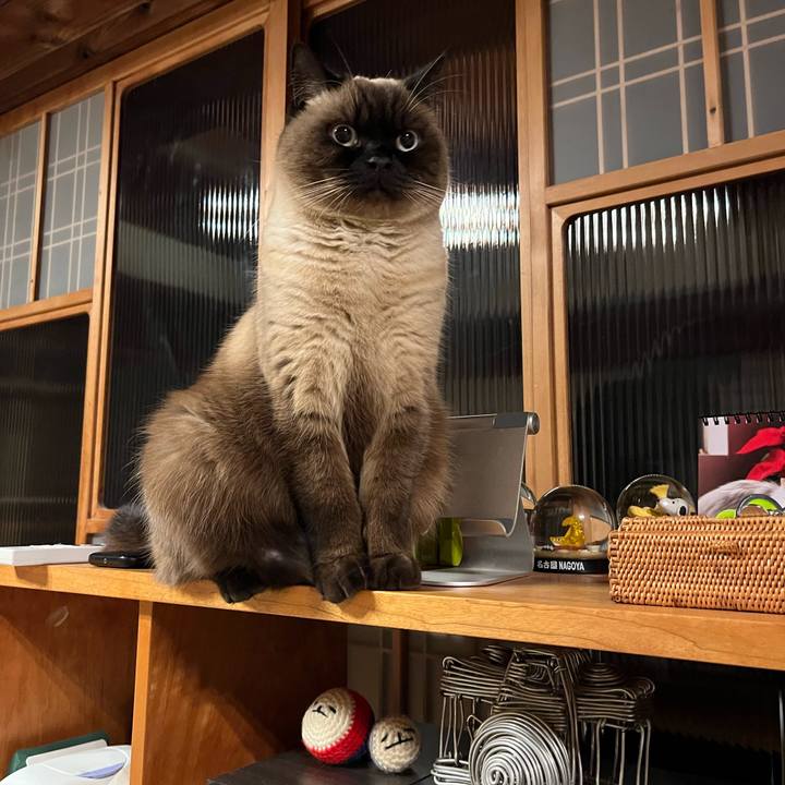 2972ff3c f431 40fd bc5e b8d4c8b1be6a 1643423112415