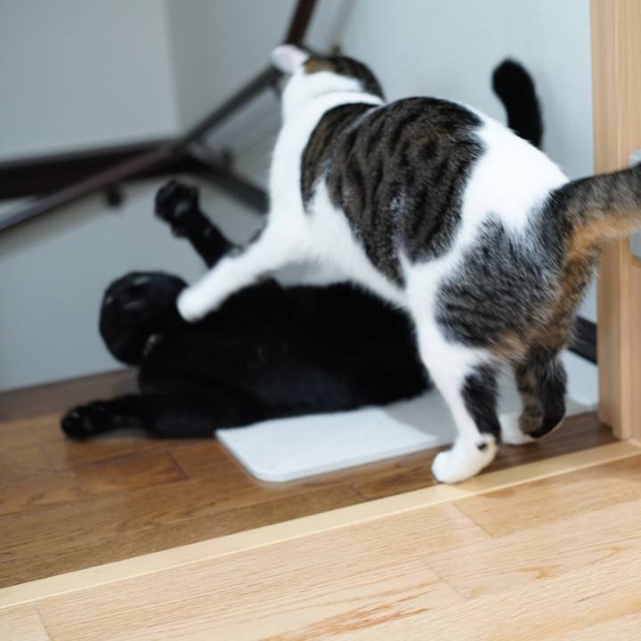 29730404 d3f0 48f1 a8b5 aab5675796aa 1535587810761