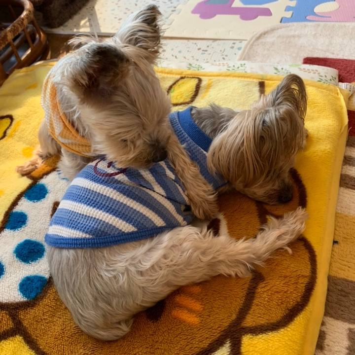 297305f4 8ac4 4fa7 bd68 bcc862b0aa9a 1680515766800