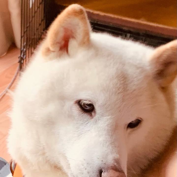 29732559 91a9 4fe2 a419 a1de04065191 1617695434397