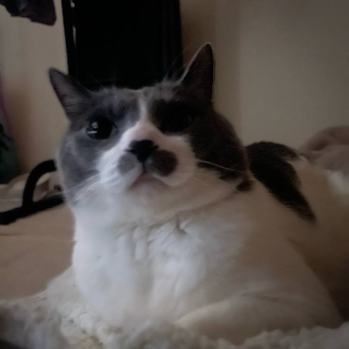 29737fc9 64b0 4f5e b404 a61b947183ac 1744923011017