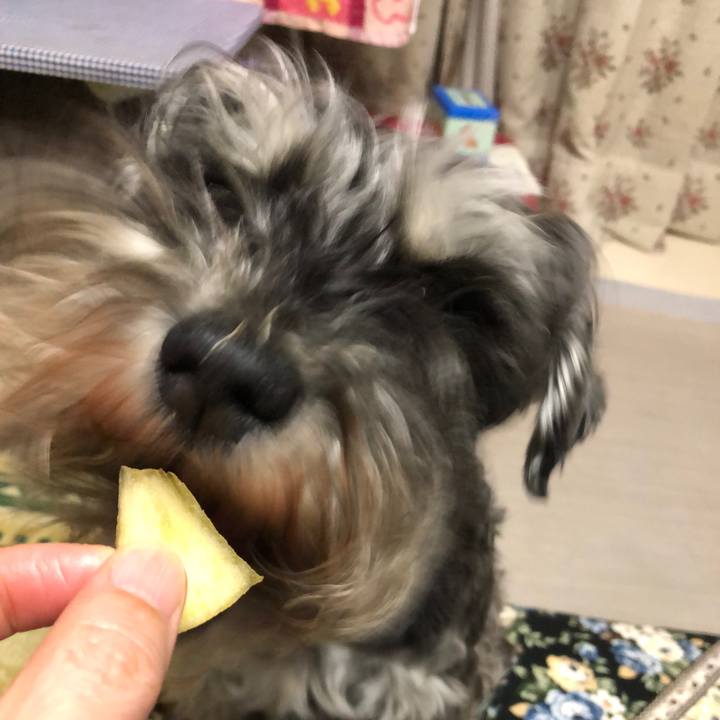 2973a376 7b82 437d bc21 e9bfe2229092 1618923544260