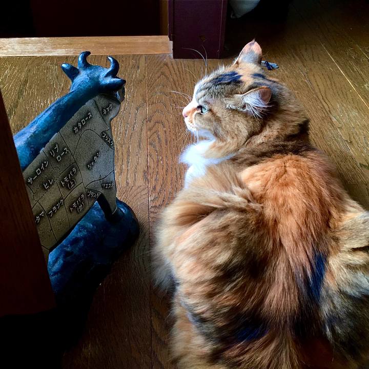 2973ca7a 326a 47eb a7e6 06f6c257a589 1599116418533