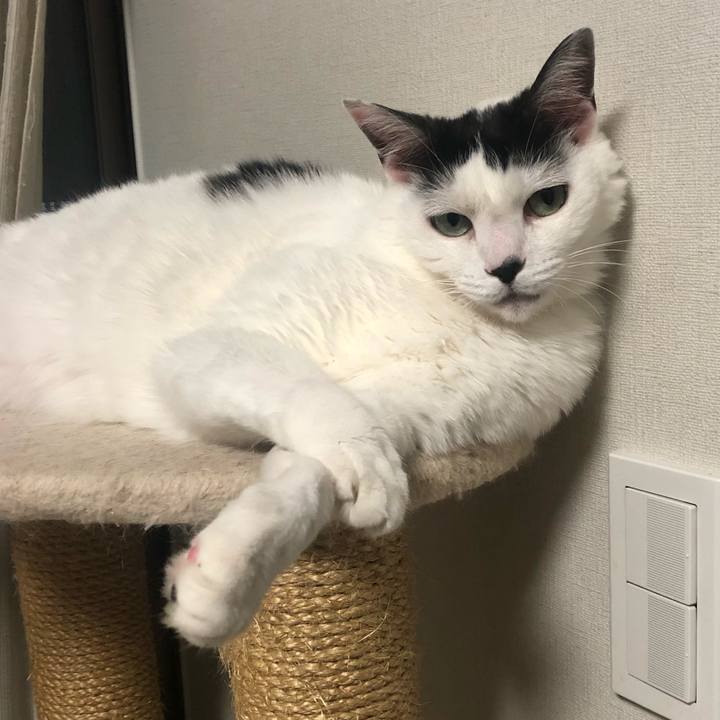 2973d068 0e07 4d2e a708 f9161eebc9fb 1593698261088