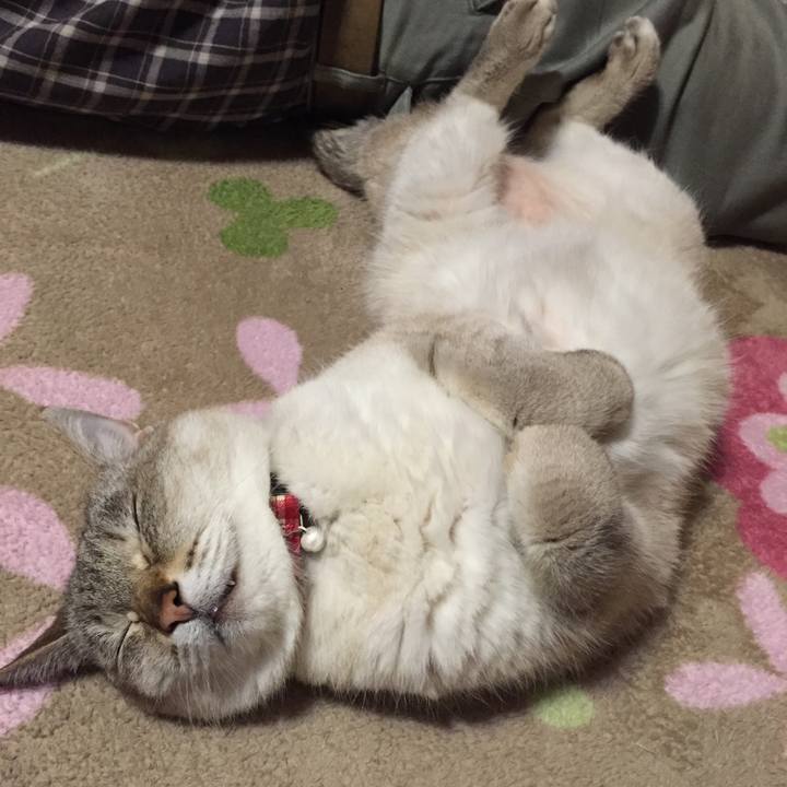 2973dcbe 8d48 4448 95db 69d75e2b5015 1525435441041