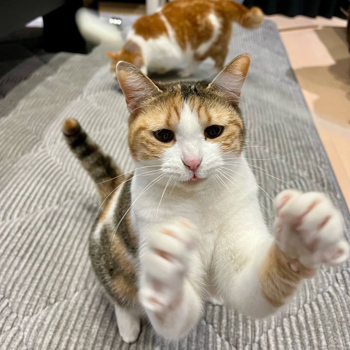 29740a2c 28da 4520 ab1c f476d9af865d 1770607818909