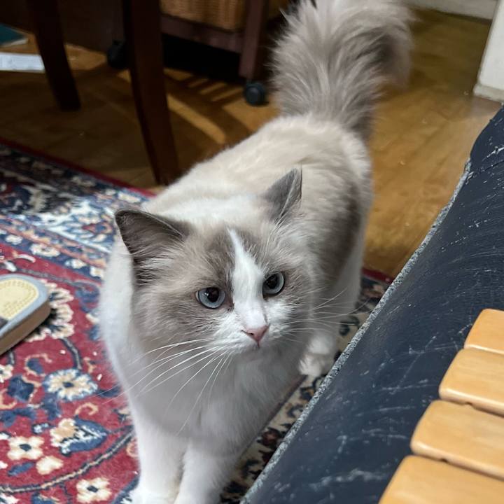 29740a30 6d12 415d 845d 317bc563fce9 1694900152354