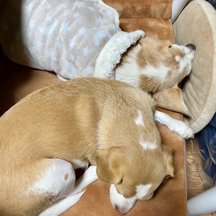 297411e7 026a 4a15 be14 15472ccbe61c 1608801903213