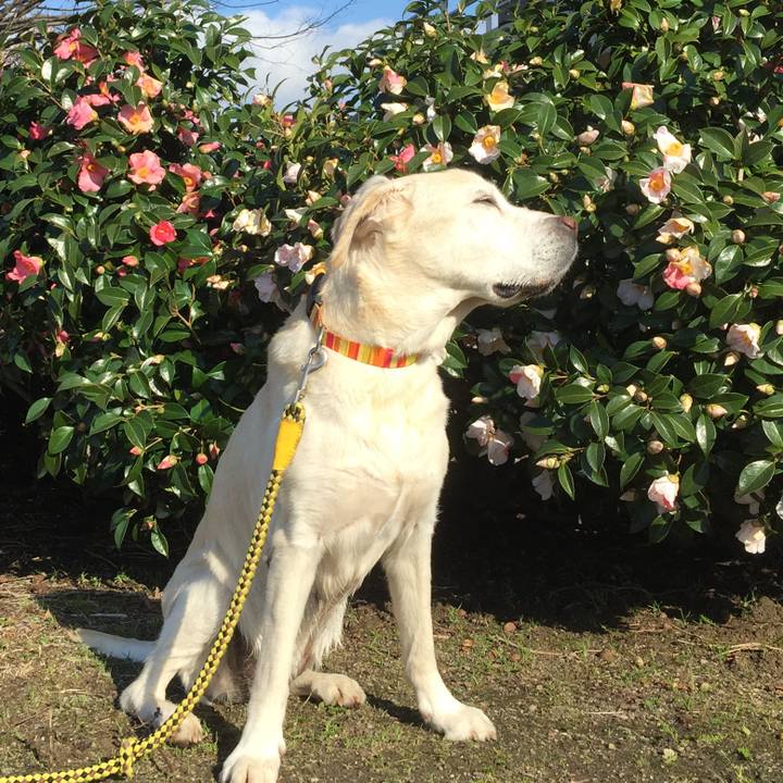 297412cb 4b76 4217 a050 cd4276f24002 1555068975033