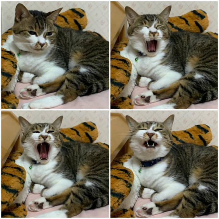 297443aa 6a5e 4e1b a533 c2e70cc8b9b9 1600346648937