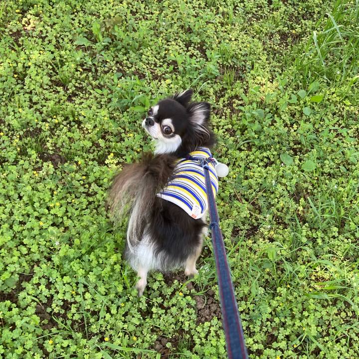 297496f5 61e3 4fa4 bcac 6e1d75fdc77d 1714926108484