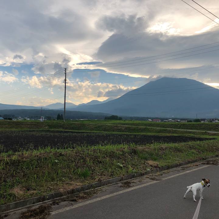 2974a4d7 99a0 4226 8062 fda656840ff5 1530181861163