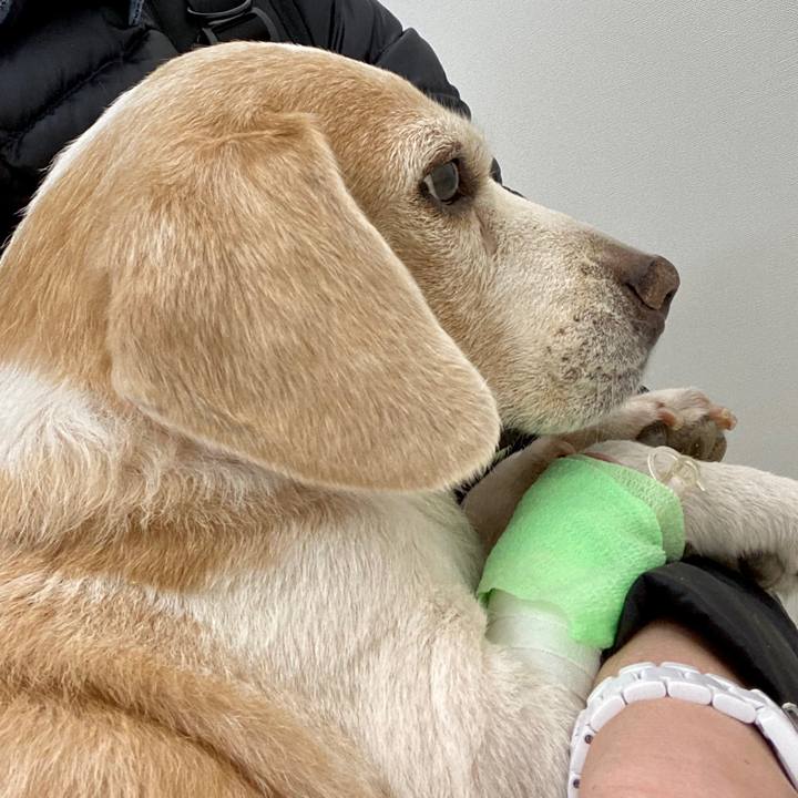 2974bc4f 3ebe 4d64 ace0 6f8960daa4be 1582899460823