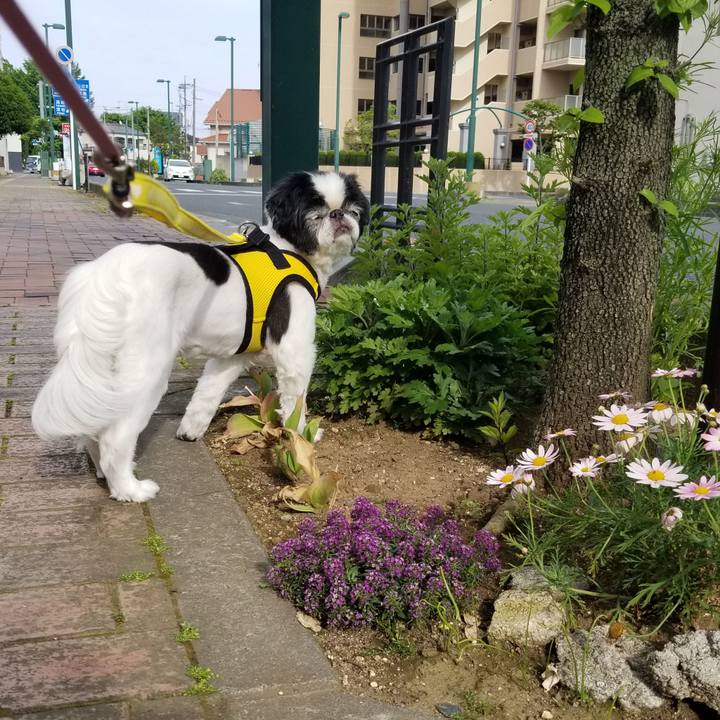 2974bd7e d375 4a25 9cbd 2247bbbfeb28 1589104201636