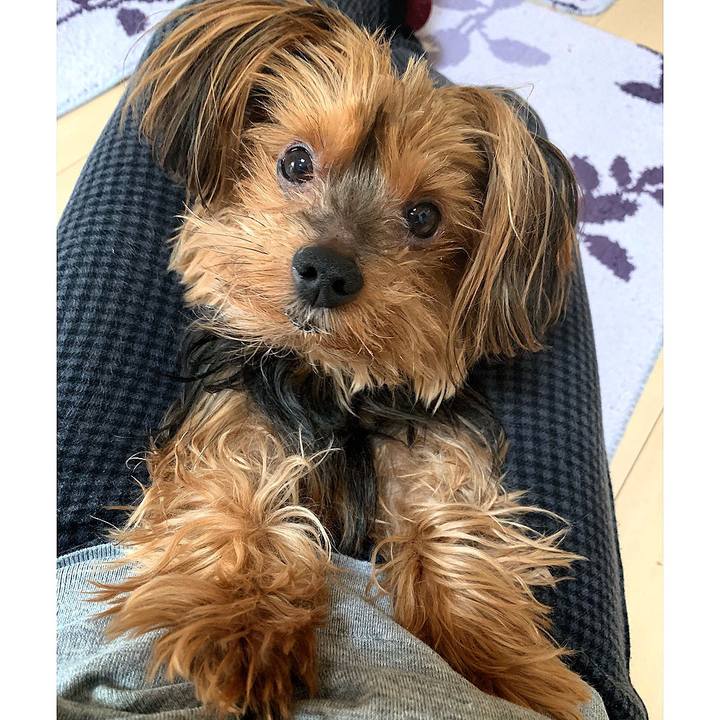 29752529 0631 41b5 833d 326656cd1216 1552949786029