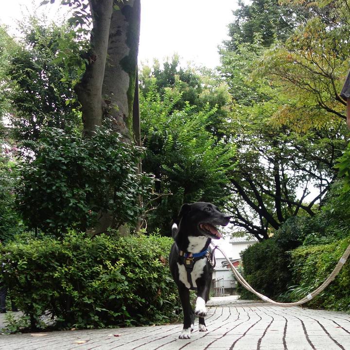 29754582 19a3 4a53 a8b6 77132502b926 1662162674213