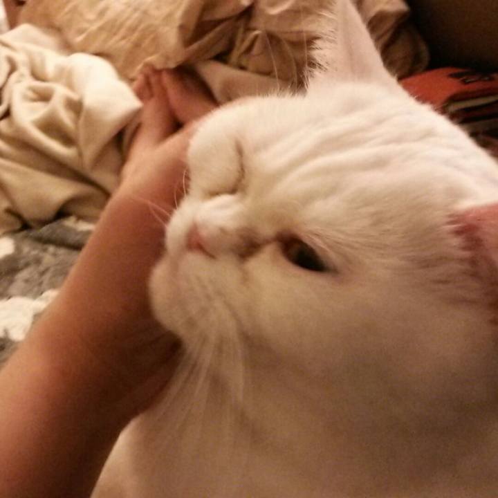 29757022 016e 46ee 95be f61790e67e10 1517660923875