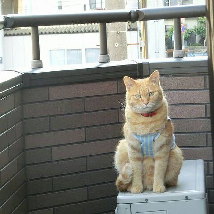 2975779c 08f7 413b 9578 807f2f84d125 1515311451952