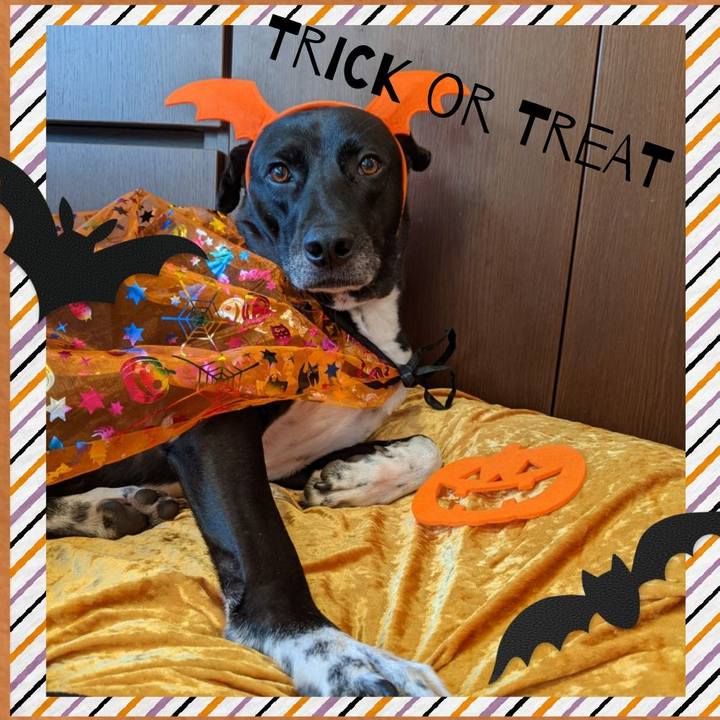 2975d78e d9be 4587 97be f974b2648a48 1635607747119