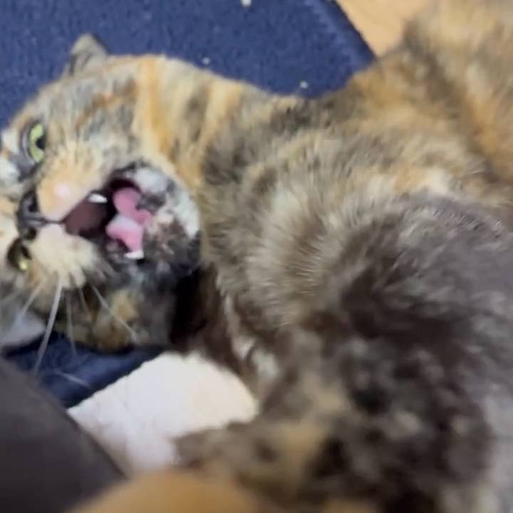 2975e60a 7d43 46f5 9621 e96e3e354960 1773523636535