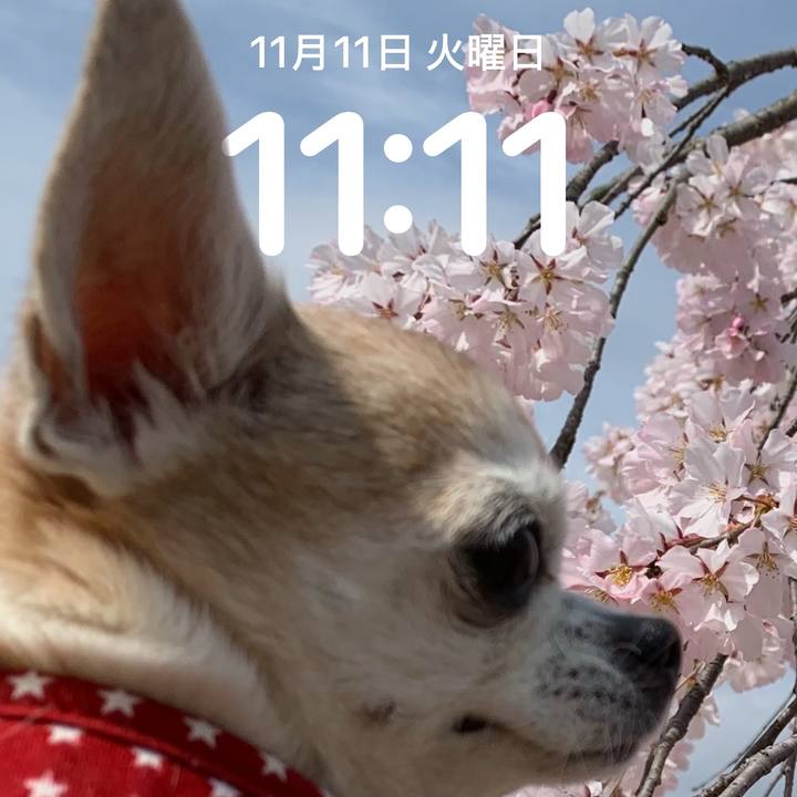 29760c6b 8f25 47ba a560 70ac4f03590f 1762870670789