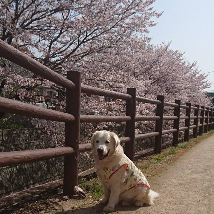 29762ef2 f530 4e77 82b9 411a7b7c680b 1522472199098