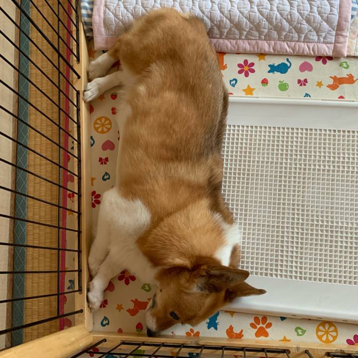 2976a2aa 1faa 4681 bce1 9bec2e9f174f 1623124222014