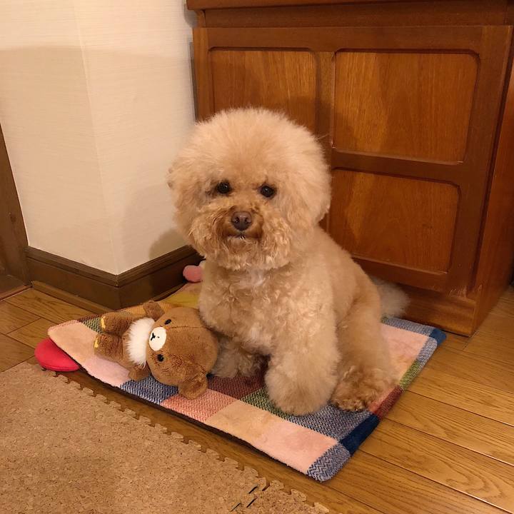 2976a310 f5ed 447e 93cb 78df0a08146f 1528276168295